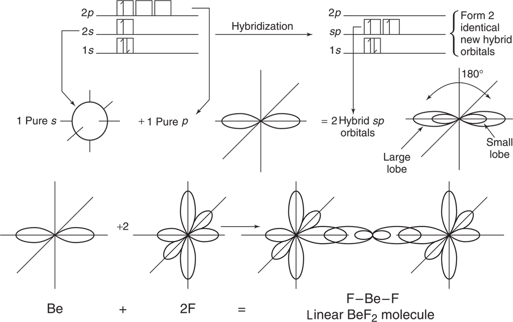 Diagram showing hybridization. 1 Pure S plus 1 Pure P yield two identical new hybrid orbitals, sp orbitals. One has a large lobe and one has a small lobe. A second part of the diagram shows Be, a horizontal figure eights on a graph plus 2F which is a vertical figure eight, a horizontal figure eight, and a diagonal figure eight on a graph. They equal F-Be-F or BeF2. The diagram looks like the graph for 2F with the Be graph in the middle. 