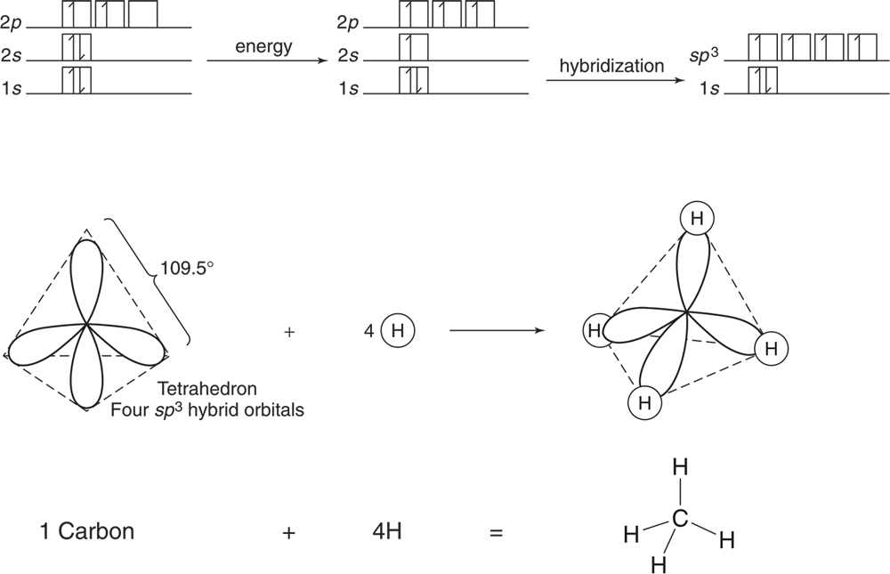 Methane, CH4, orbitals. 2s is excited to 2p for a hybridization of sp3. 1 carbon looks like a tetrahedron with four sp3 hybrid orbitals. Electron angle is 109.5 degrees. Plus 4 H equals a tetrahedron with four Hs in each corner. 