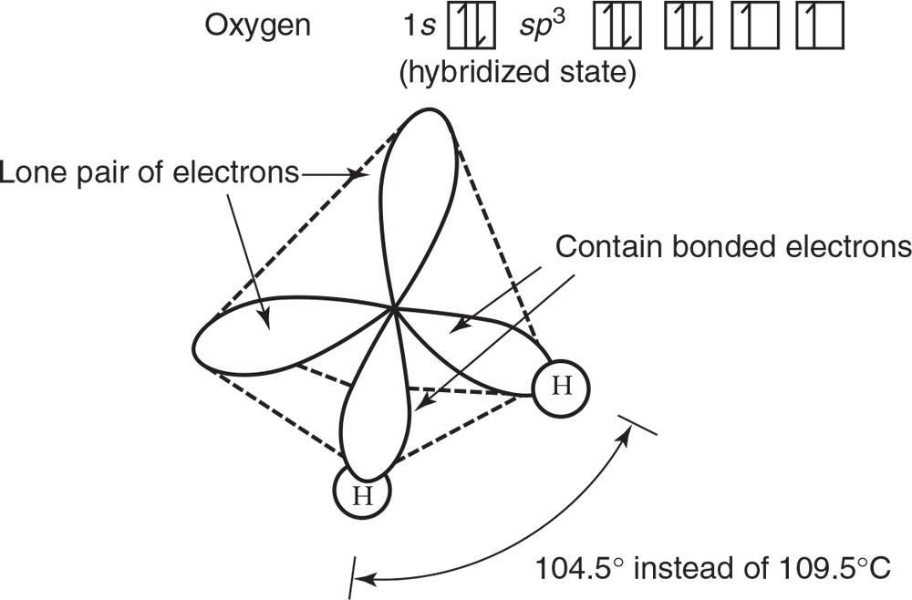 H20 tetrahedron molecule. In a hybridized state of sp3 orbitals. Lone pairs of electrons at the top and left. Contained bonded electrons with Hs at the bottom and right. That angle is 104.5 degrees instead of 109.5 degrees.  