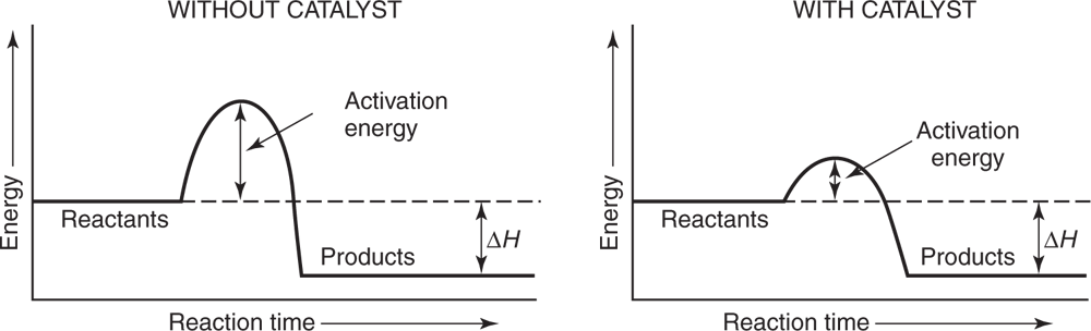 Two graphs showing the effect of a catalyst on a reaction. The first graph is without a catalyst. The second graph is with a catalyst. The first graph has a larger activation energy curve than the second graph. 