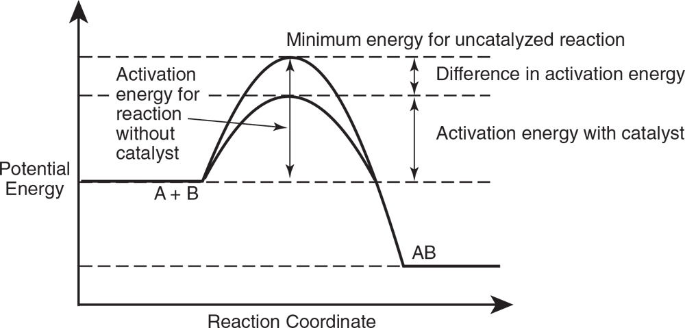 Reaction graph showing potential energy on the vertical axis and reaction coordinate on the horizontal axis. Reactants A + B make a curve of activation energy. Curve is shorter with the addition of a catalyst. The differences between the two curves is the difference in activation energy. Curve then declines in potential energy to from products AB. 