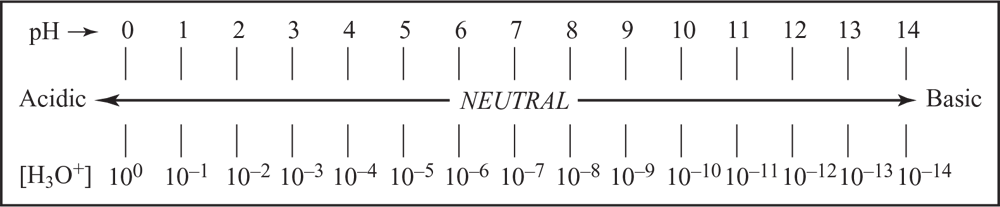 pH range from acidic at 1 to basic at 14. Neutral is 6 through 8. Also shows range of H3O+ at 10 to the power of 0 at a pH of 0 going to 10 to the power of negative 14 at a pH of 14. 