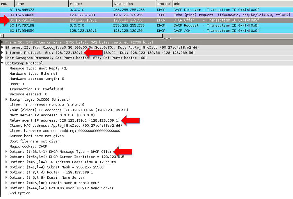 Screenshot shows the DHCP offer packet.