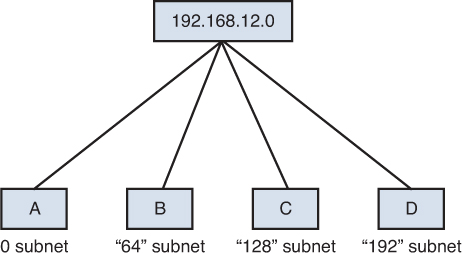 Figure shows an IP Assignment of computers in a network subnet.