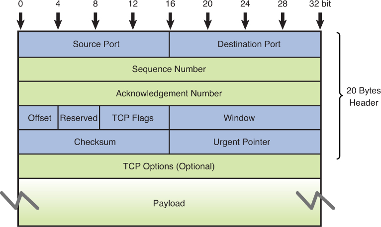 Figure shows the structure of TCP datagram.