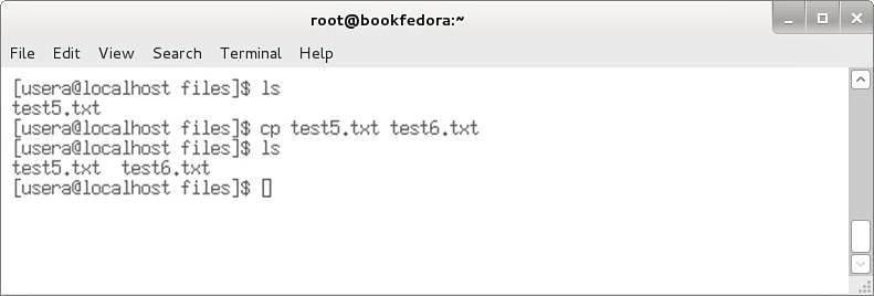 Screenshot shows a Linux command screen with the following tabs: File, Edit, View, Search, Terminal, and Help. The c p command is executed