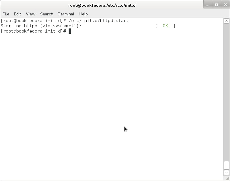 Screenshot shows a command to start a web server with the following tabs: File, Edit, View, Search, Terminal, and Help.