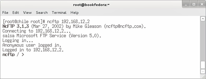 Screenshot shows the command to start the application for the server name with the following tabs: File, Edit, View, Search, Terminal, and Help.