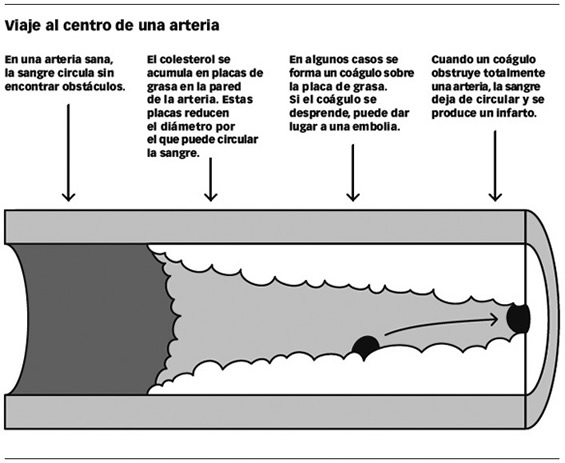 Imagen 9