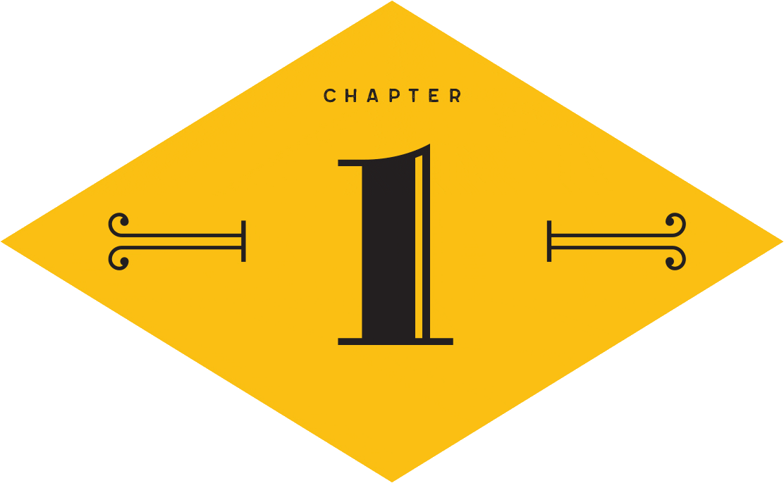 CHAPTER 1