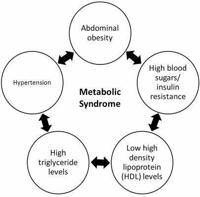 An illustration showing components of Metabolic Syndrome using circles and arrows.