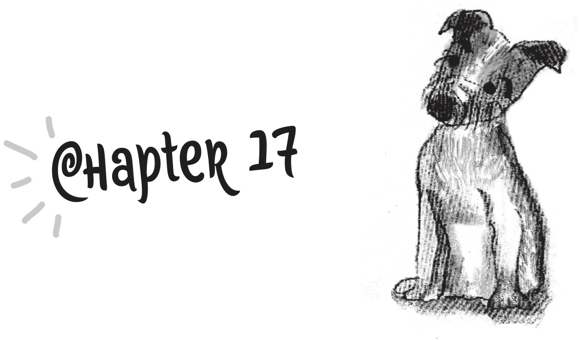 Chapter 17