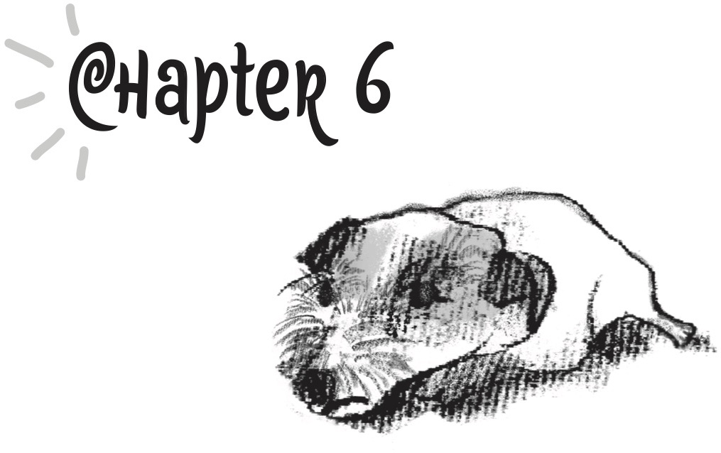 Chapter 6