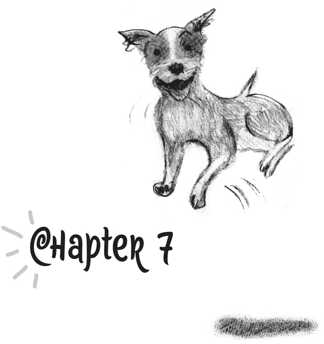 Chapter 7