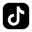 TikTok icon