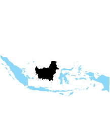 19-kalimantan-loc-ido11jpg