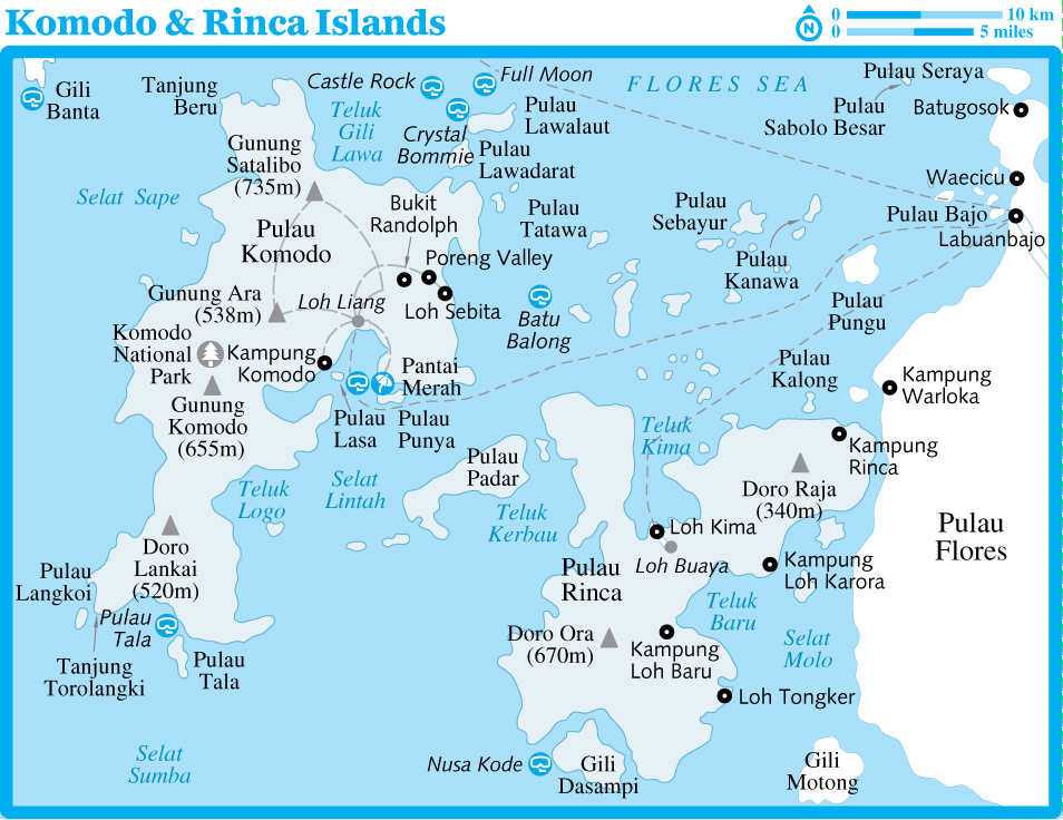 15-komodo-rinca-ido11jpg