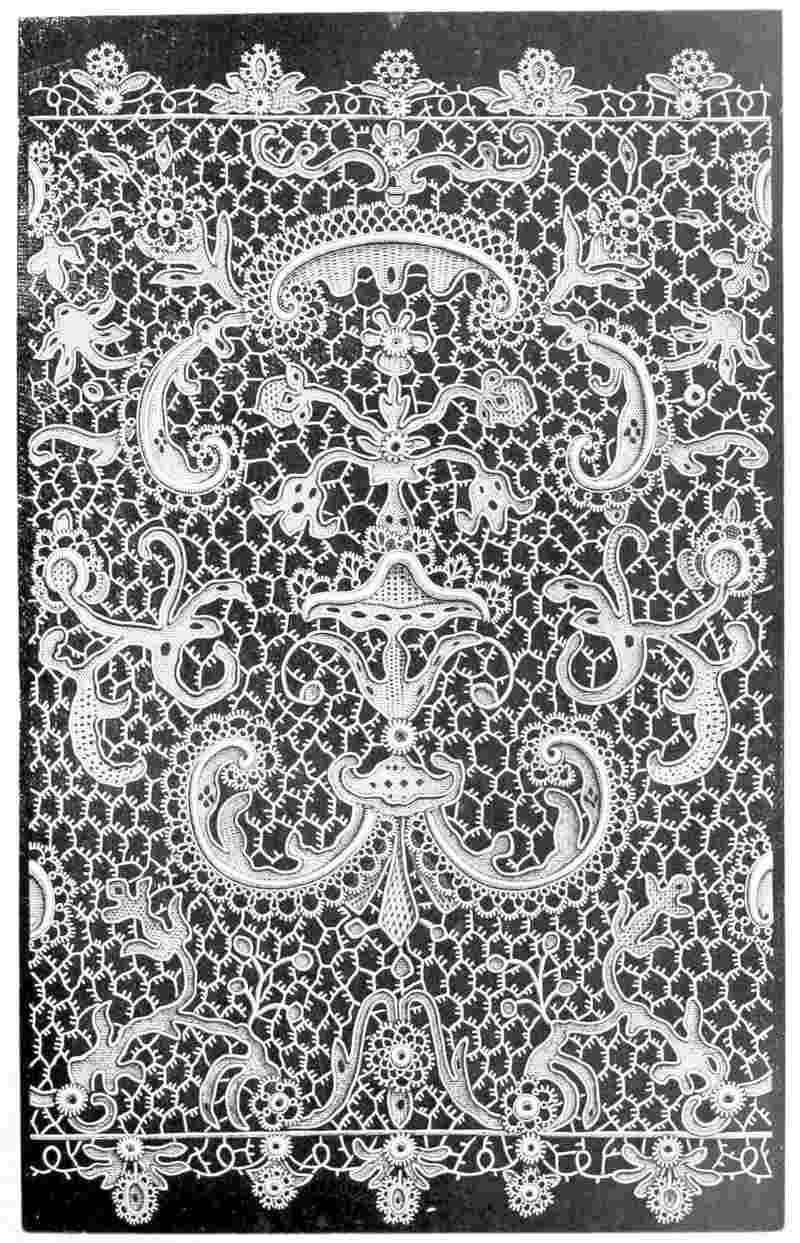 Lace featuring bristly connecting threads