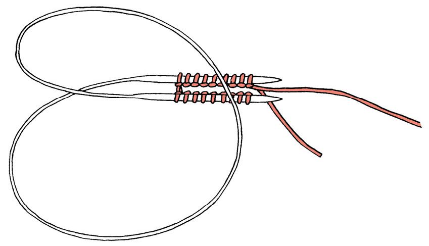 magicloop1.tif