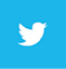 twitter-bird-blue-on-white