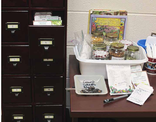 Bulk seed that patrons will put in envelopes themselves. Some bulk seed is in jars and some is in envelopes in the cabinet at the Goochland Community Seed Lending Library.