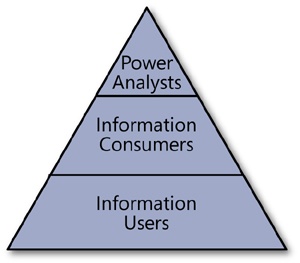 The business user communities.