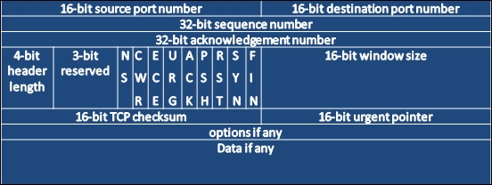 The TCP header architecture