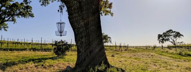 A tree in a grassy field  Description generated with very high confidence