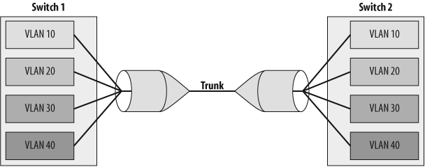 Visual representation of a trunk