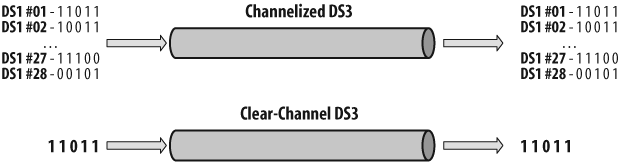 Channelized versus clear-channel DS3