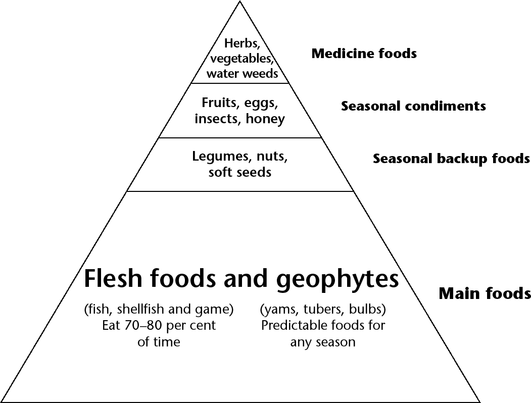 Figure 8.4 Hunter-gatherer food pyramid Source: Adapted from M. Sisson (2012). The Primal Blueprint. London: Ebury Press.