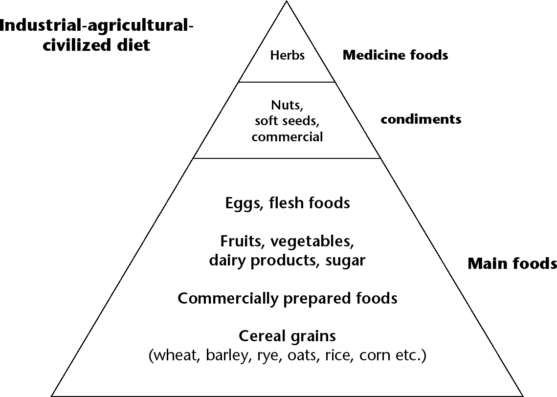 Figure 8.5 Modern food pyramid Source: Adapted from USDA, 1992, ‘Food Guide Pyramid’.