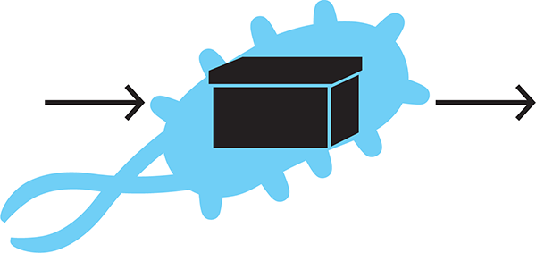 Viewing a cell as a black box. Synthetic biology is enabled by abstraction, which allows for engineering of a cell without considering all of the details of each and every pathway within that cell.