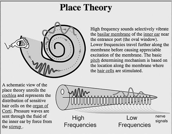 Figure 6.1