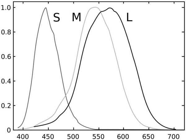 Figure 6.2