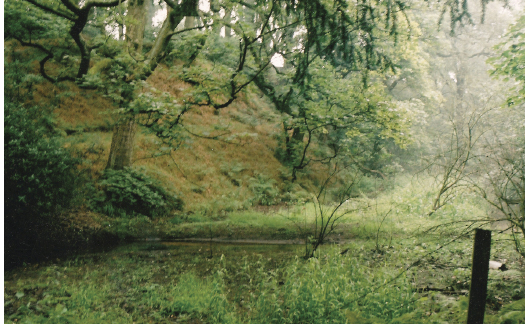 Fig. 8. The ghost of a beautiful place – the drained upper lake in the Clough.