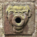 Fig. 30. A typical Bateman grotesque head