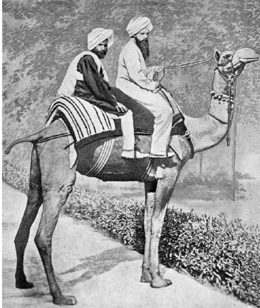 Fig. 97. Robert’s brother, the Indian missionary Rowland Bateman, astride his camel with his assistant Main Sadik, Lahore 1870.