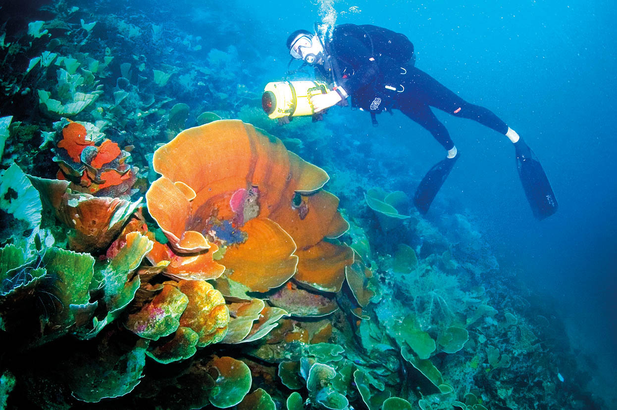 PULAU_HARI-SULTERA_0111_Indonesia_EC.jpg