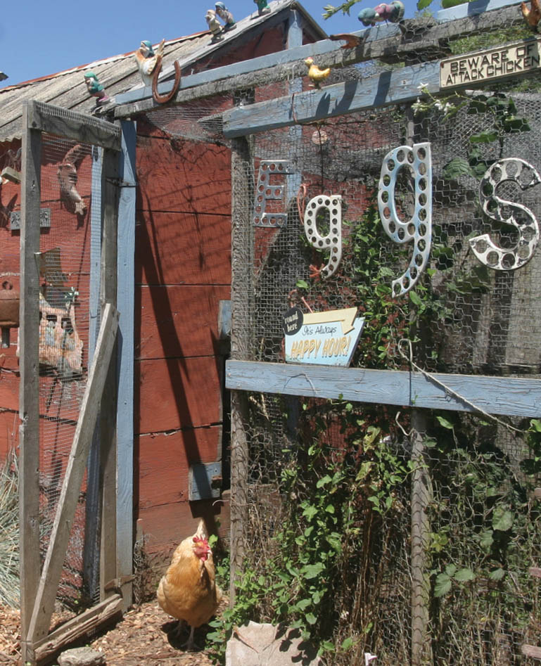 The entrance to Amy Stewart's chicken pen.