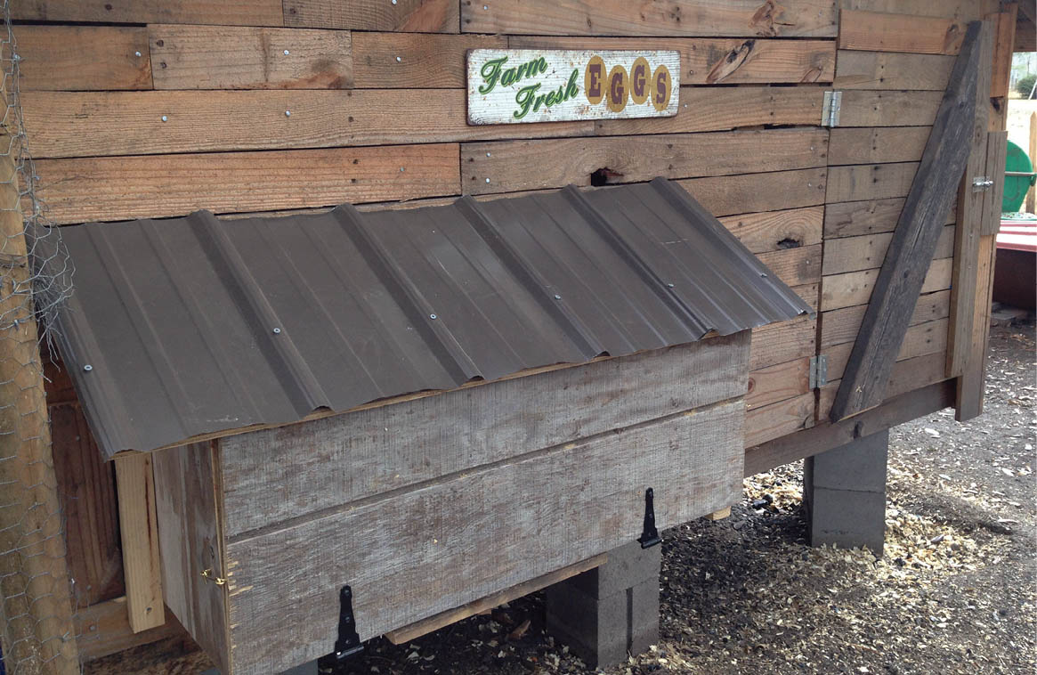 The author's finished nest box on the chicken coop.