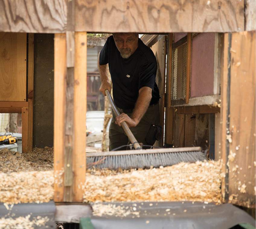 Brushing out the old bedding.