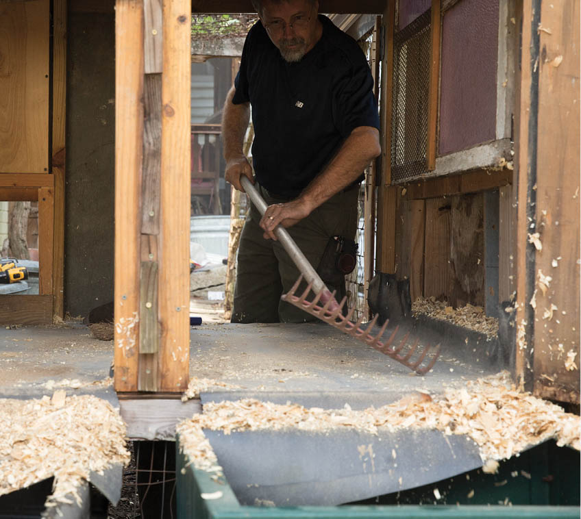 Brushing out the old bedding.