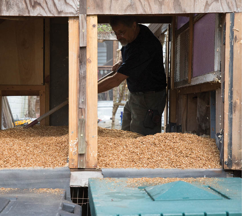 Spreading out the fresh bedding.