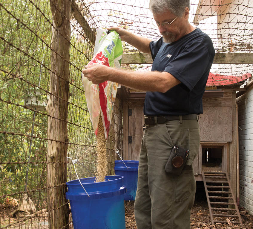 Filling the bucket with feed.