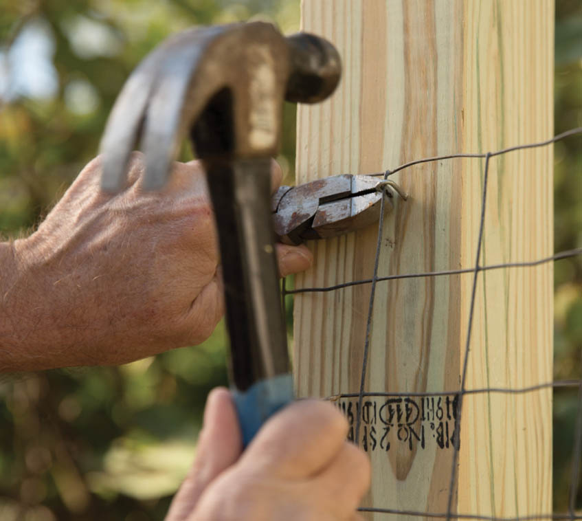 Attaching the fence to the post with staples.