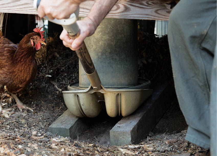 Sliding the feeder under the coop.