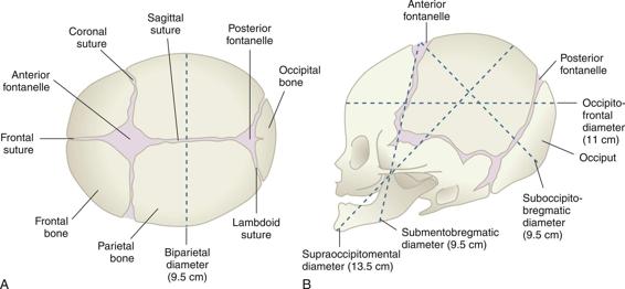 Fig. 6.5