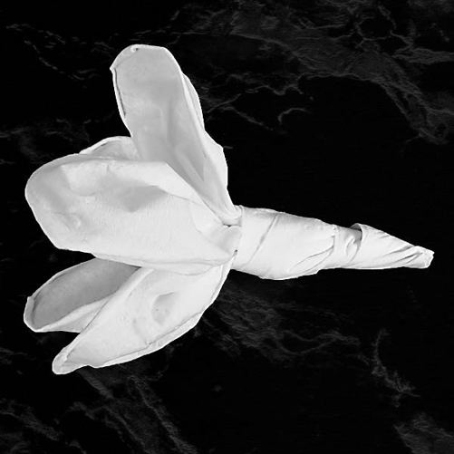 Magnolia-15.jpg