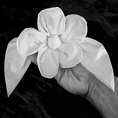 Magnolia-22.jpg